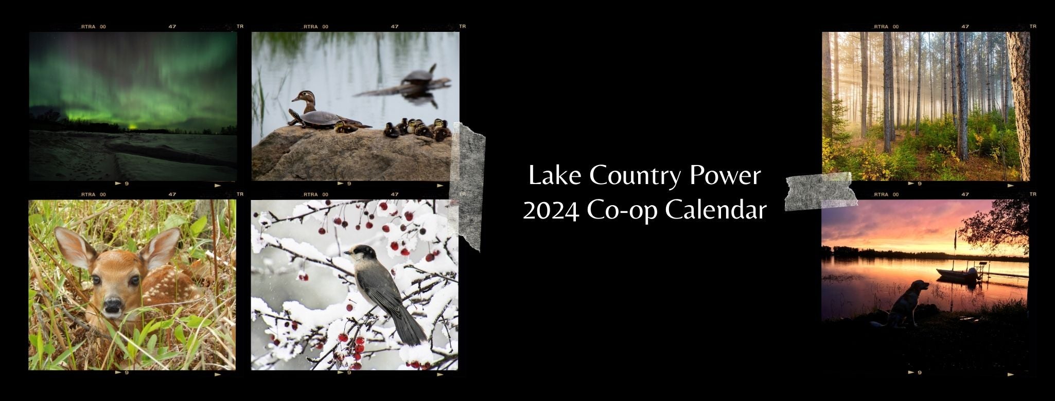 2024 Co-op Calendar header 1