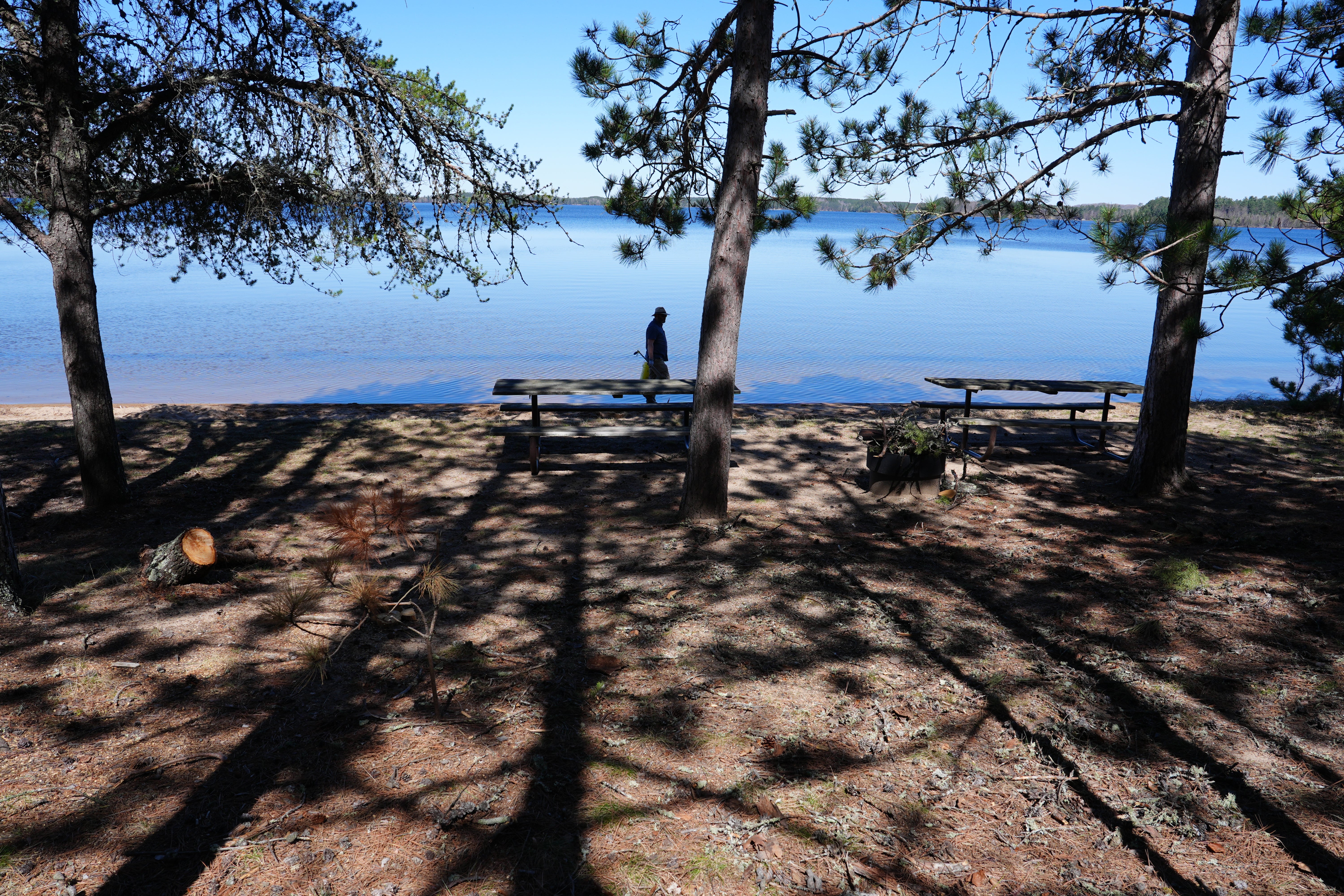 A man walking along the blue skies, lakes and trees of a park
